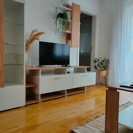 Aleksandar 公寓 兹沃尔尼克