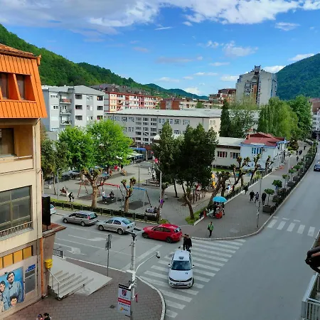 公寓 Aleksandar 兹沃尔尼克