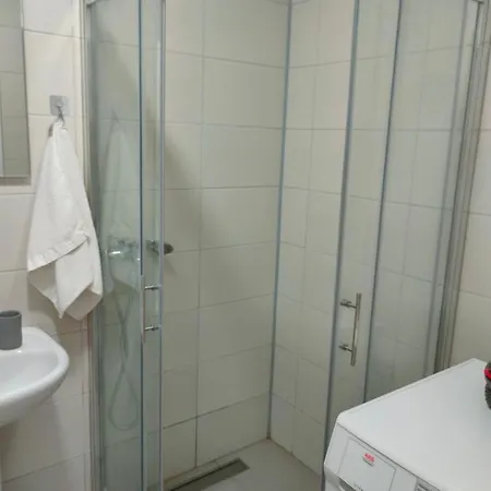 Aleksandar * 兹沃尔尼克