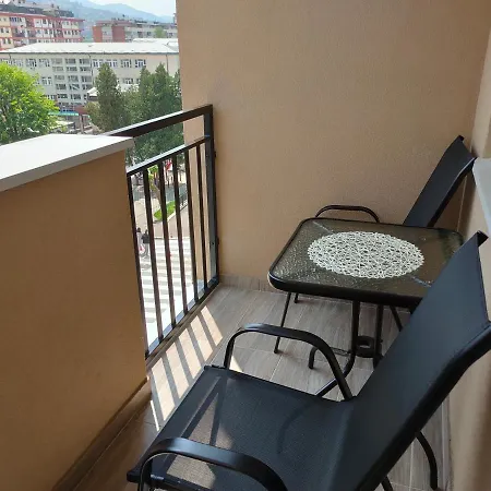 Aleksandar 公寓 兹沃尔尼克