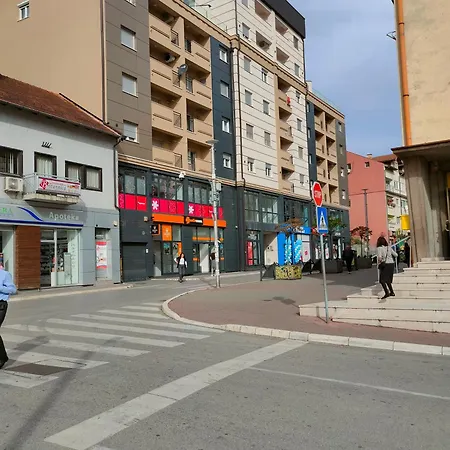 Aleksandar 兹沃尔尼克