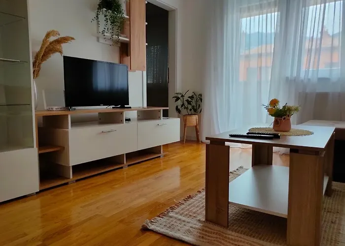 Aleksandar Apartamento *