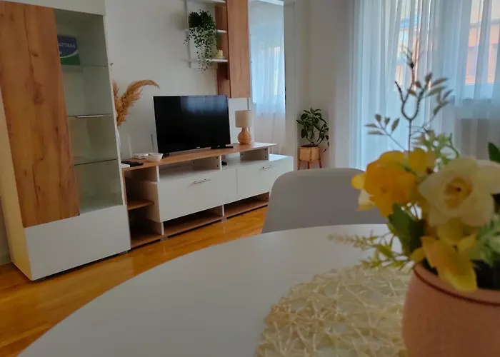 Aleksandar Apartamento *